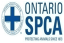 Non-Profit_8